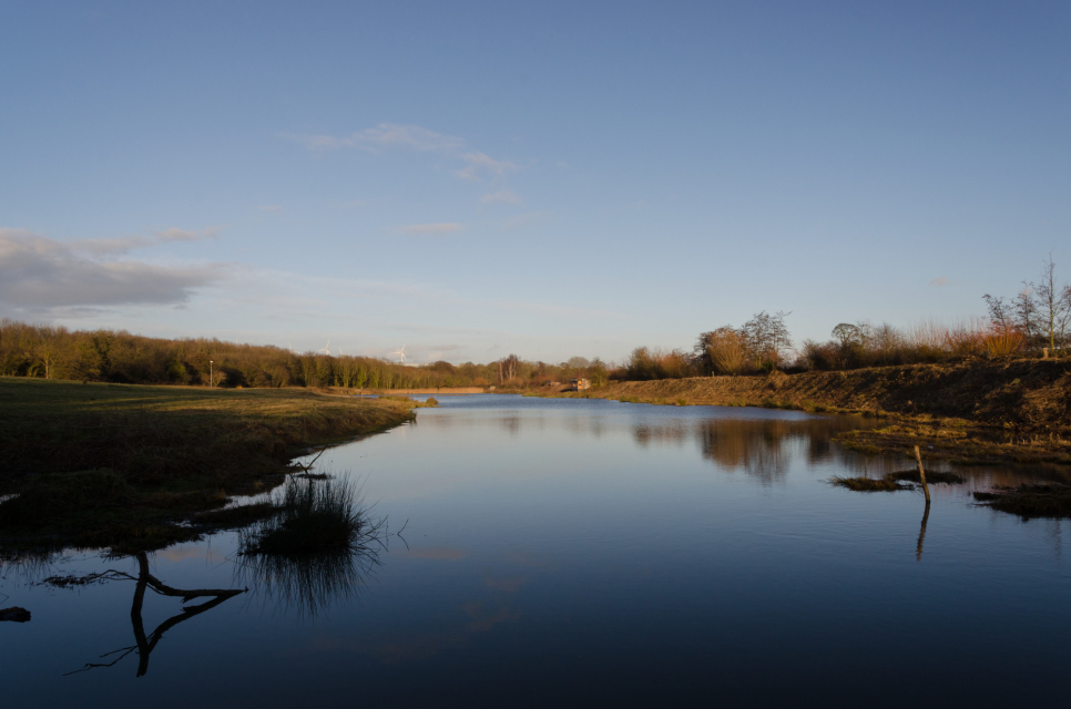 Restore your wellbeing in our wetlands this autumn